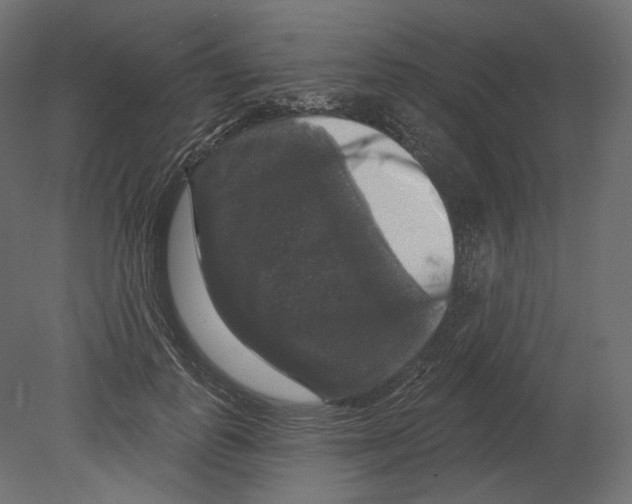 X0000080690747200701121724