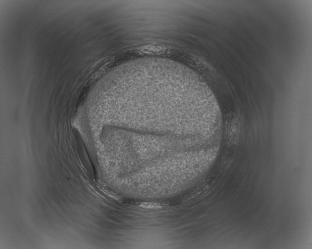 X0000080690749200701121725