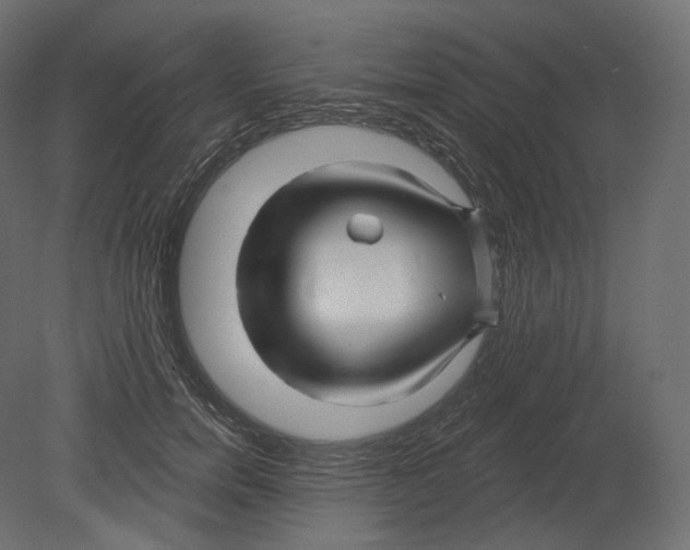 X0000080690750200701121725