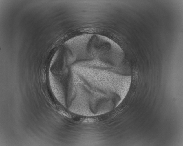 X0000080690751200701121725