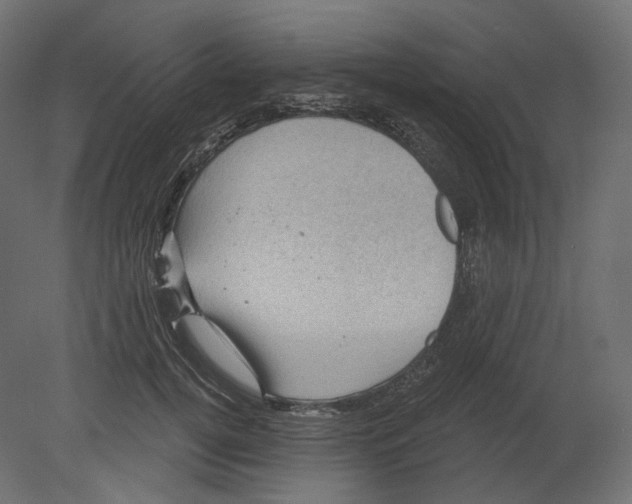 X0000080690752200701121725