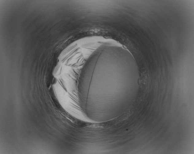 X0000080690754200701121725