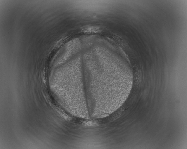 X0000080690755200701121725