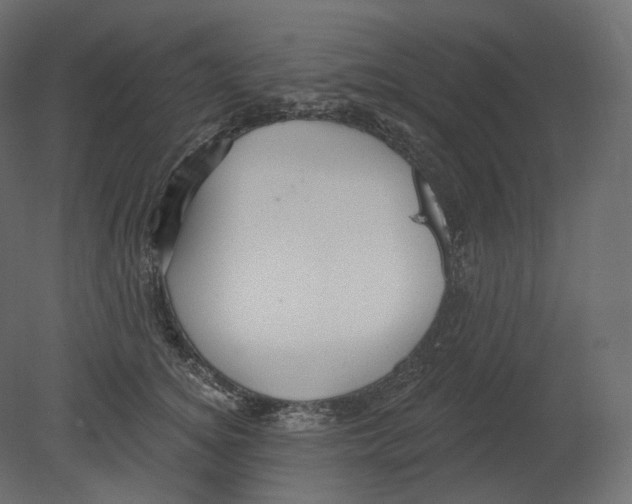 X0000080690756200701121725