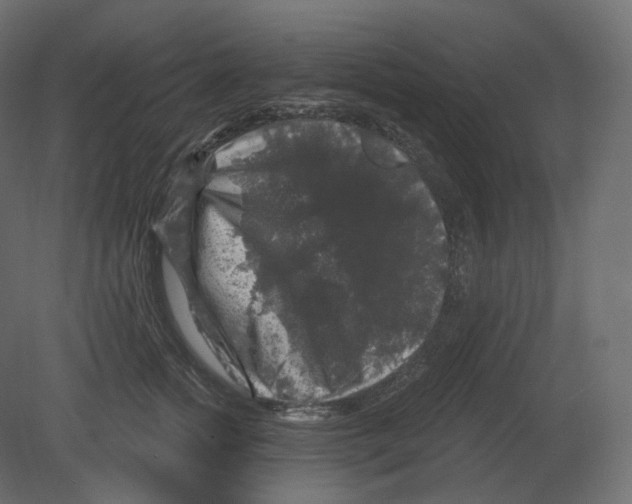 X0000080690758200701121725