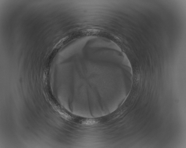 X0000080690759200701121725