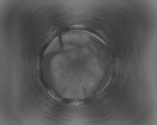 X0000080690760200701121725