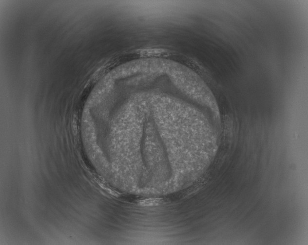 X0000080690761200701121725