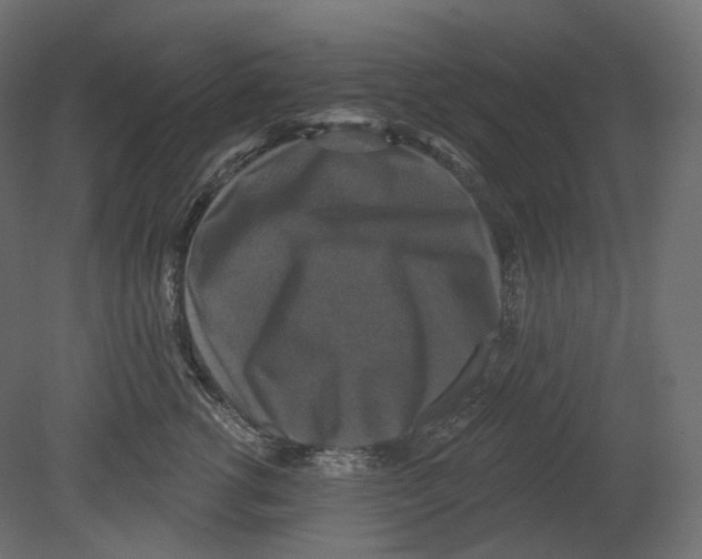 X0000080690762200701121725