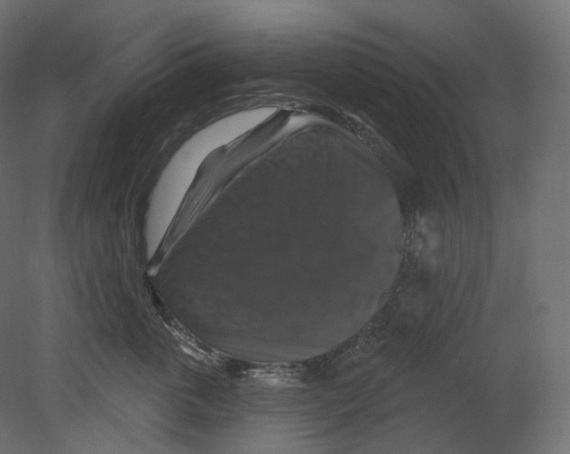 X0000080690763200701121725