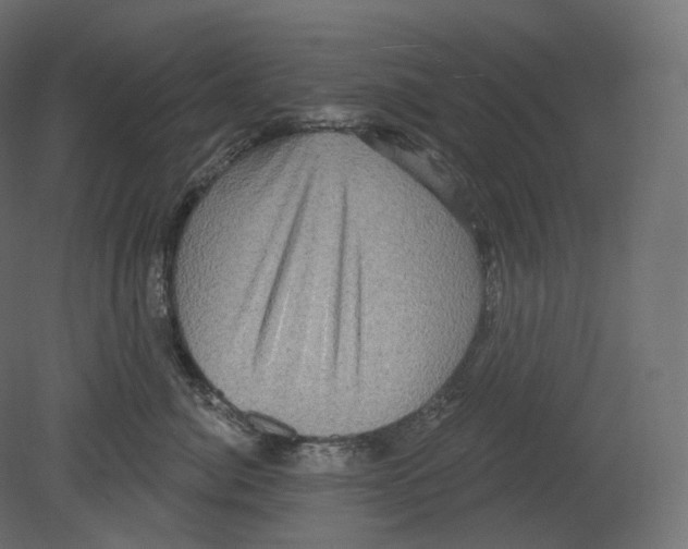 X0000080690764200701121725