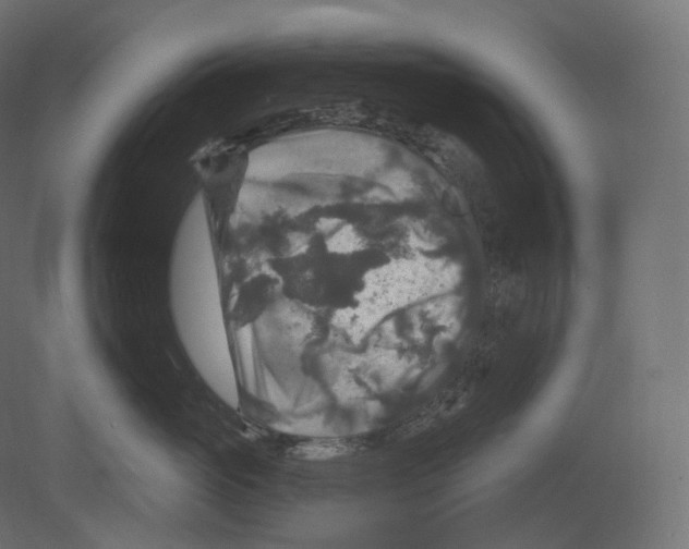 X0000080690765200701121725