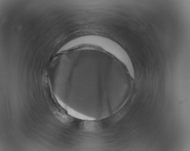 X0000080690766200701121725