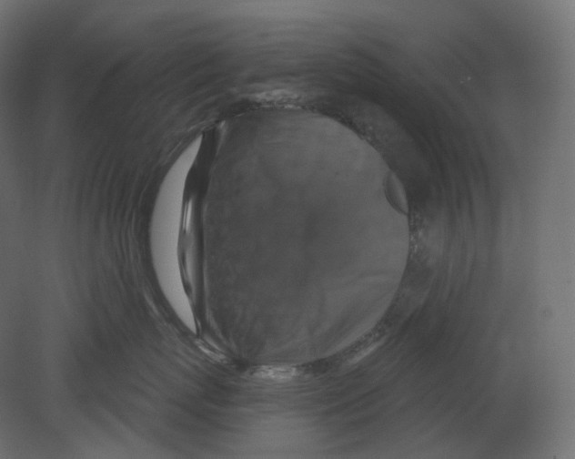 X0000080690767200701121725