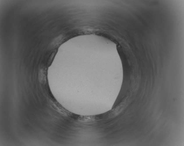 X0000080690768200701121725