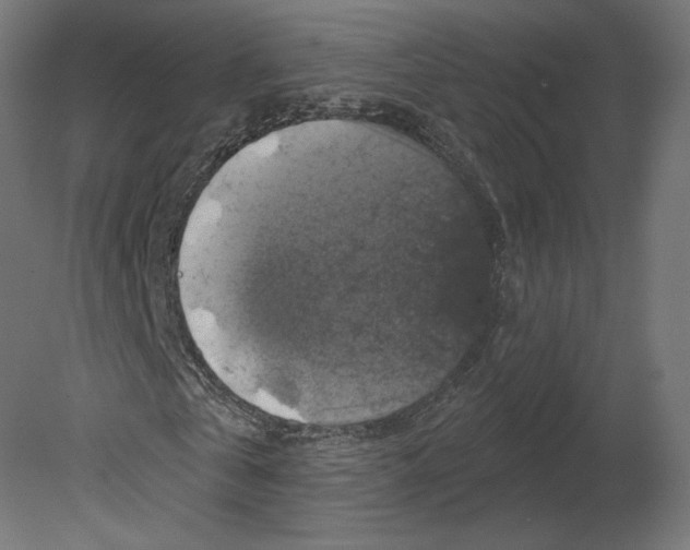 X0000080690769200701121724