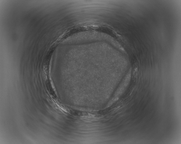 X0000080690772200701121724