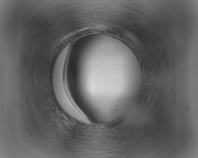 X0000080690773200701121724