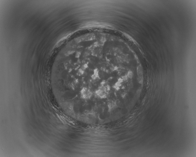 X0000080690775200701121724