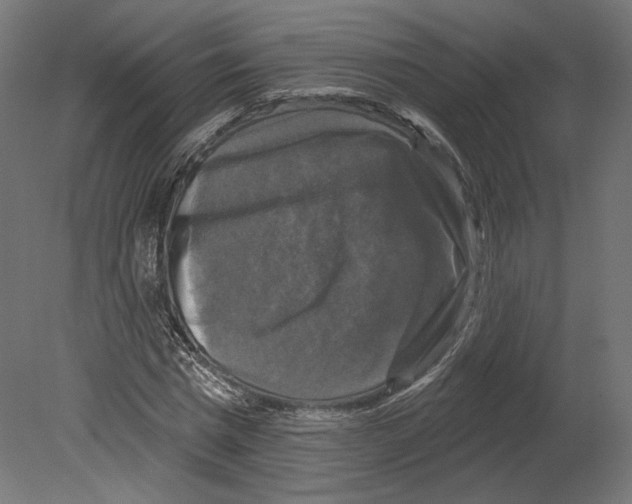 X0000080690777200701121724