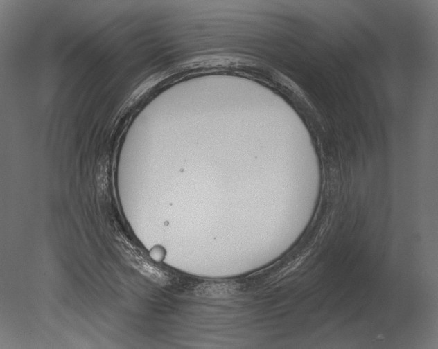 X0000080690778200701121724