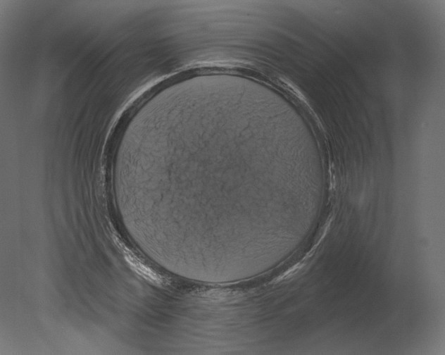 X0000080690779200701121724