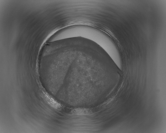 X0000080690780200701121724