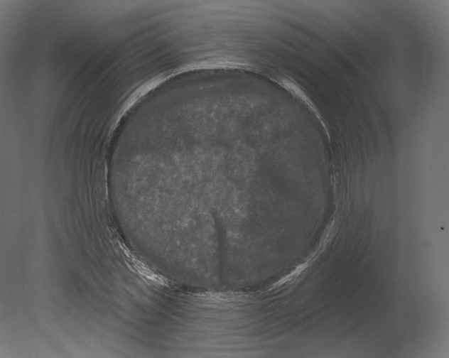 X0000080690781200701121724