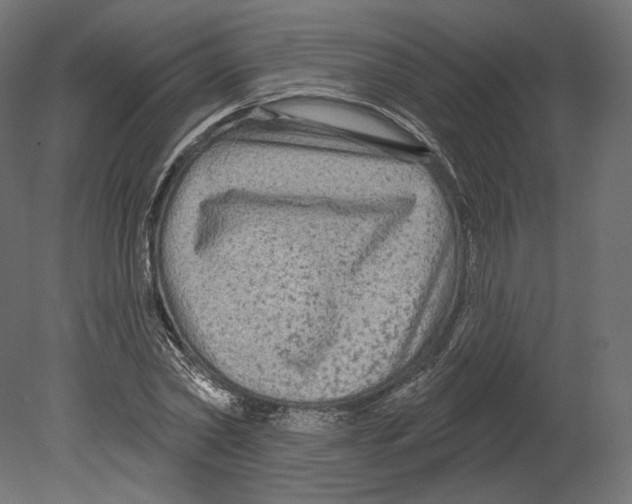 X0000080690782200701121724