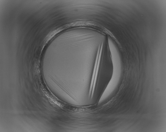 X0000080690786200701121724