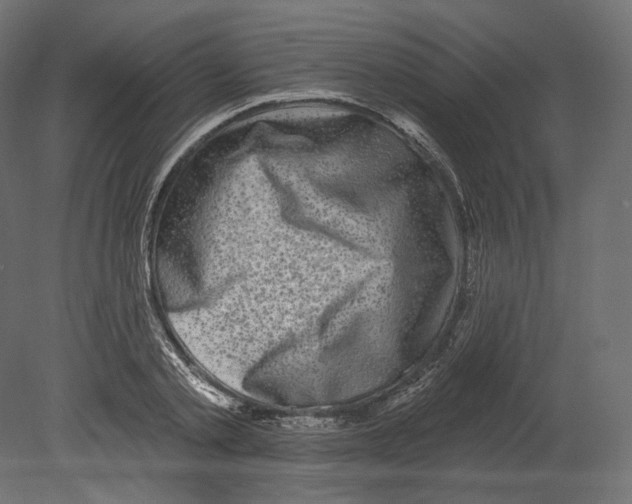 X0000080690789200701121724