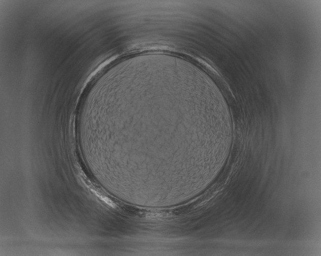 X0000080690790200701121724