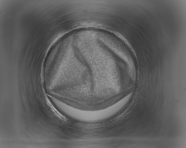 X0000080690791200701121724