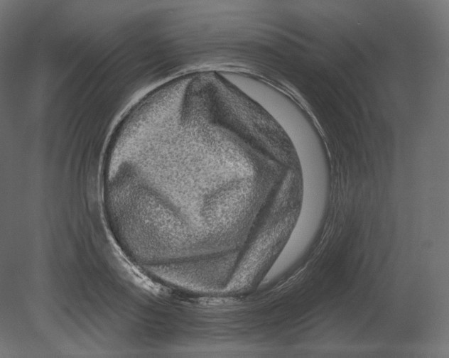 X0000080690795200701121724