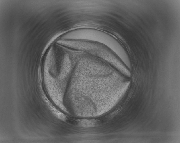 X0000080690796200701121724