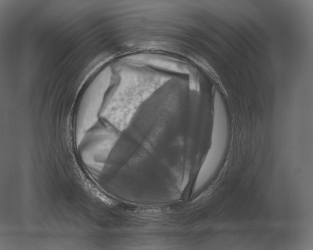 X0000080690798200701121724