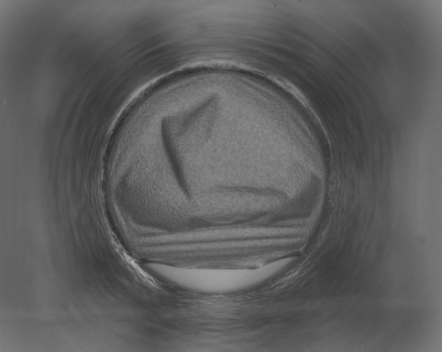 X0000080690799200701121724