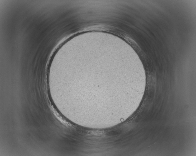 X0000080690800200701121723