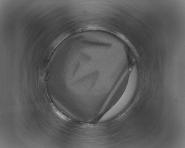 X0000080690801200701121723