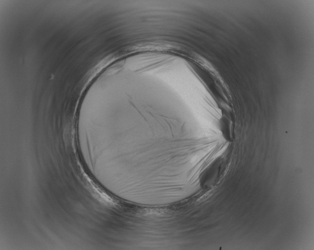 X0000080690802200701121723