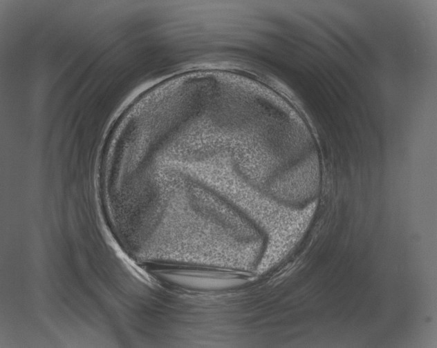 X0000080690803200701121723