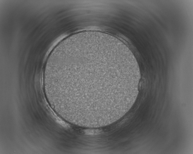 X0000080690804200701121723