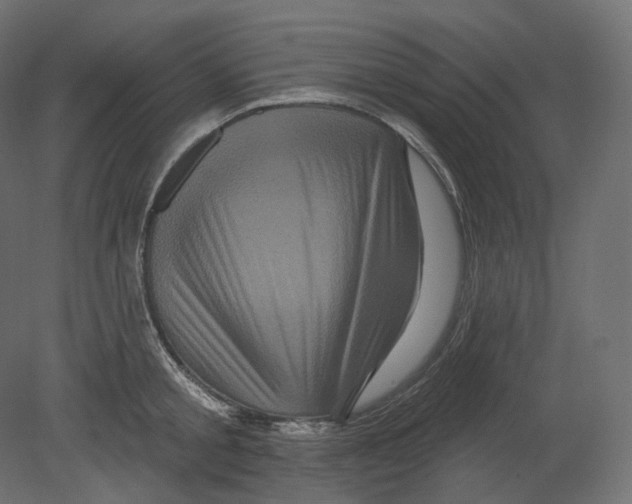 X0000080690805200701121723