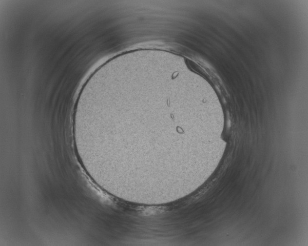 X0000080690808200701121723