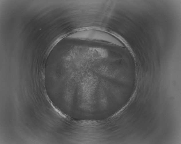 X0000080690809200701121723