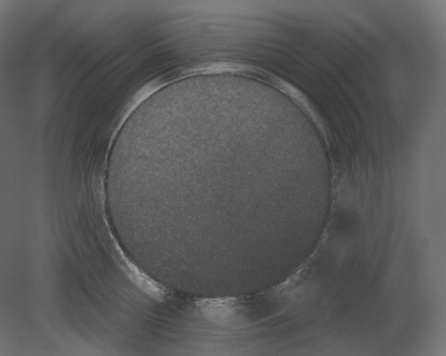 X0000080690810200701121723