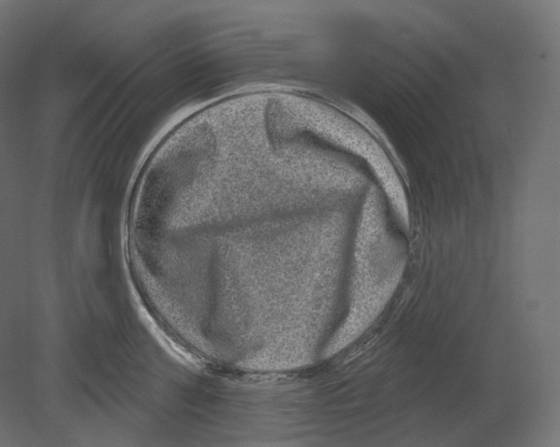 X0000080690811200701121723