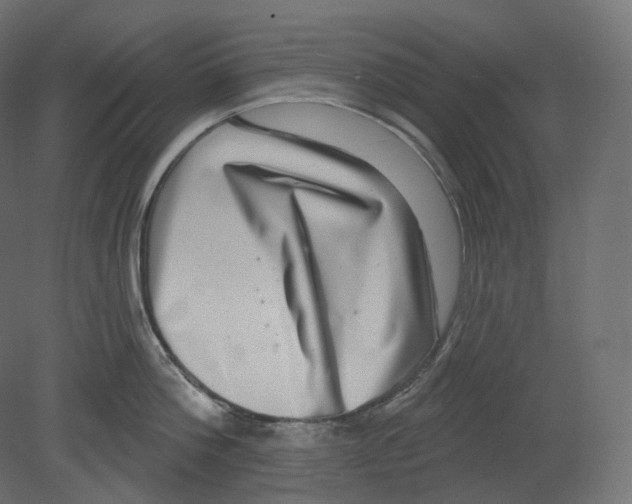 X0000080690812200701121723