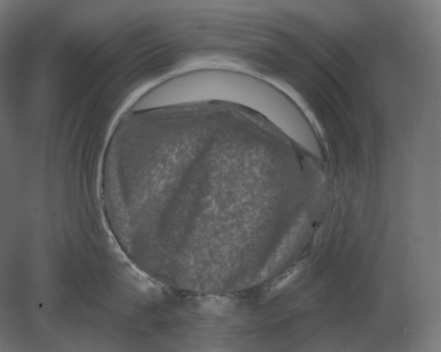 X0000080690815200701121723