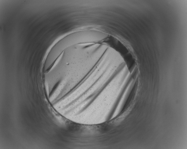 X0000080690816200701121723